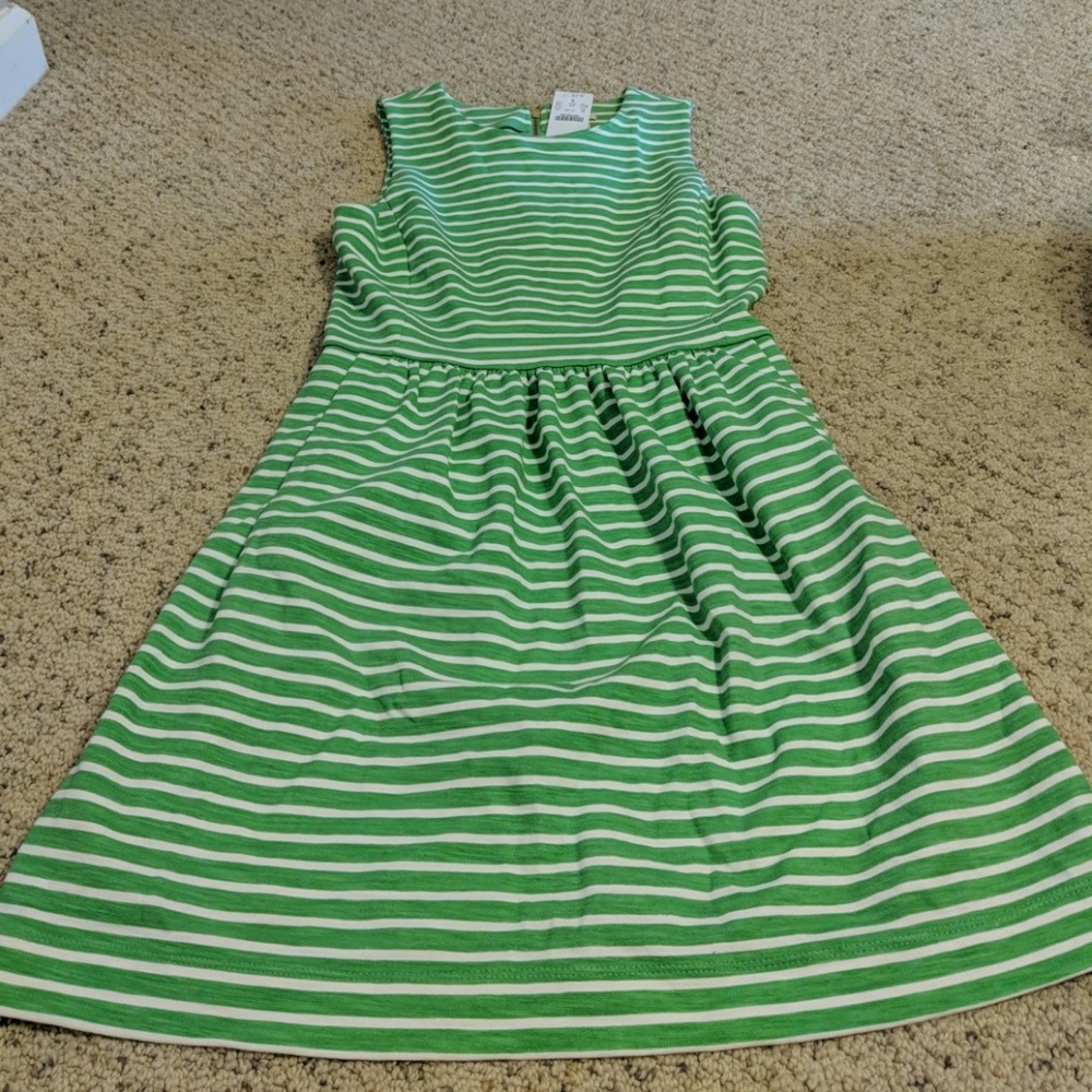 J Crew green striped dress
